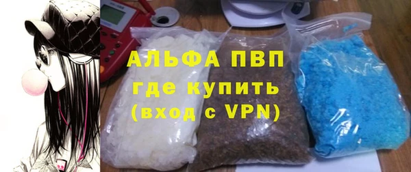 трава Белокуриха