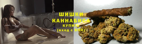 трава Белокуриха