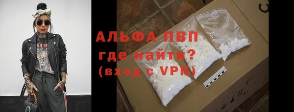трава Белокуриха